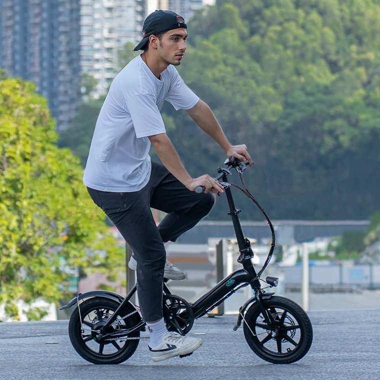 Fiido D3 Pro Folding eBike