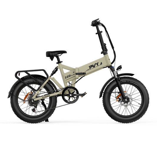 PVY Z20 Plus 1000 eBike