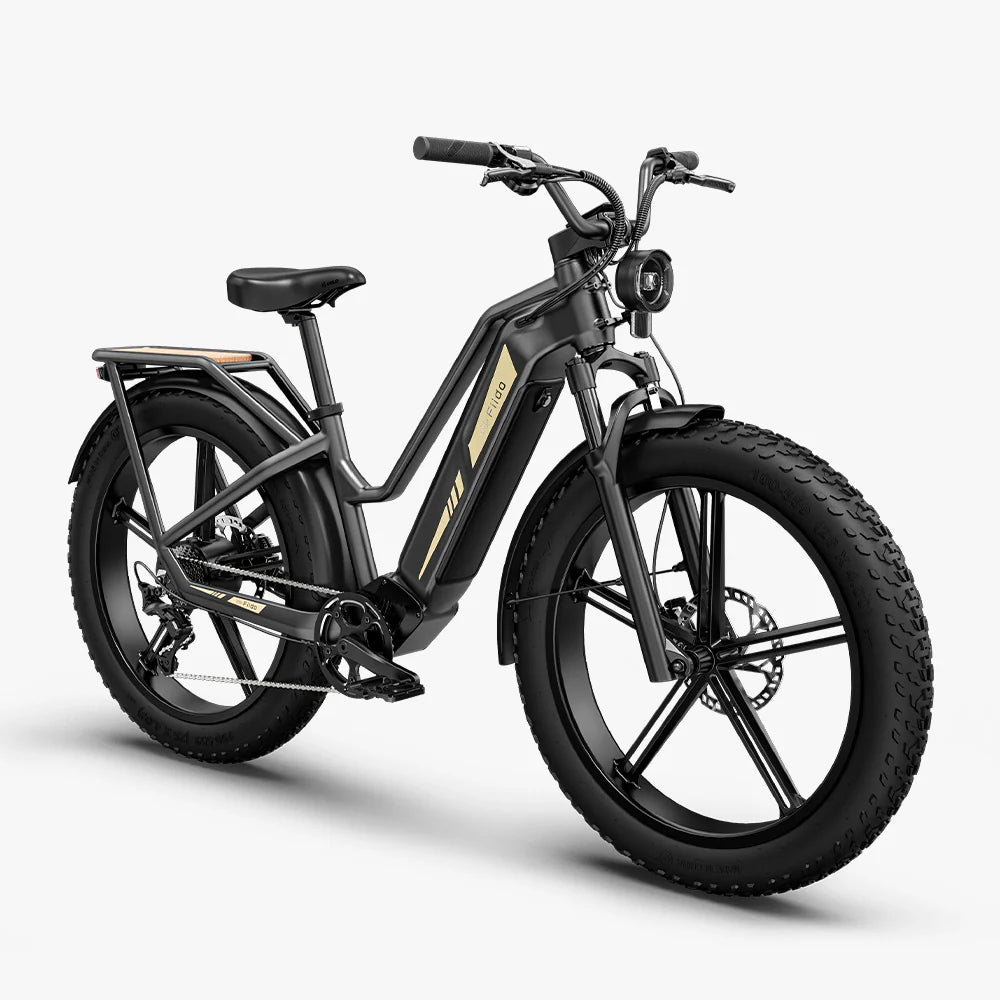 Fiido Titan Robust Cargo eBike