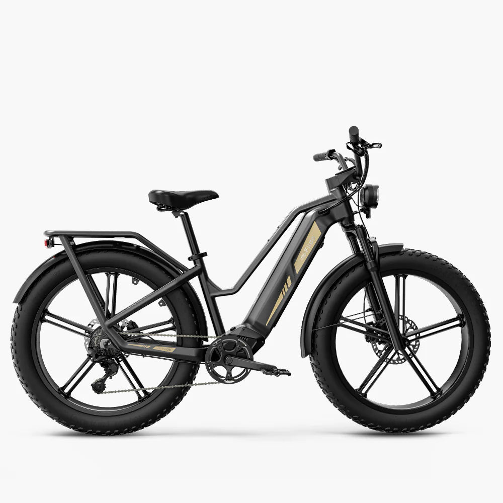 Fiido Titan Robust Cargo eBike