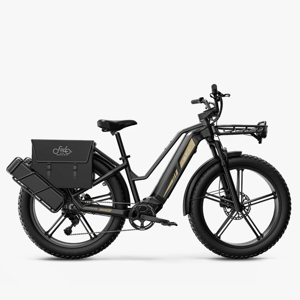 Fiido Titan Robust Cargo eBike