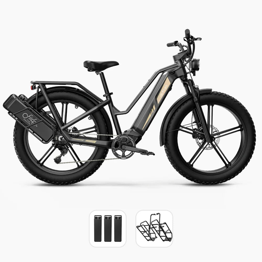 Fiido Titan Robust Cargo eBike