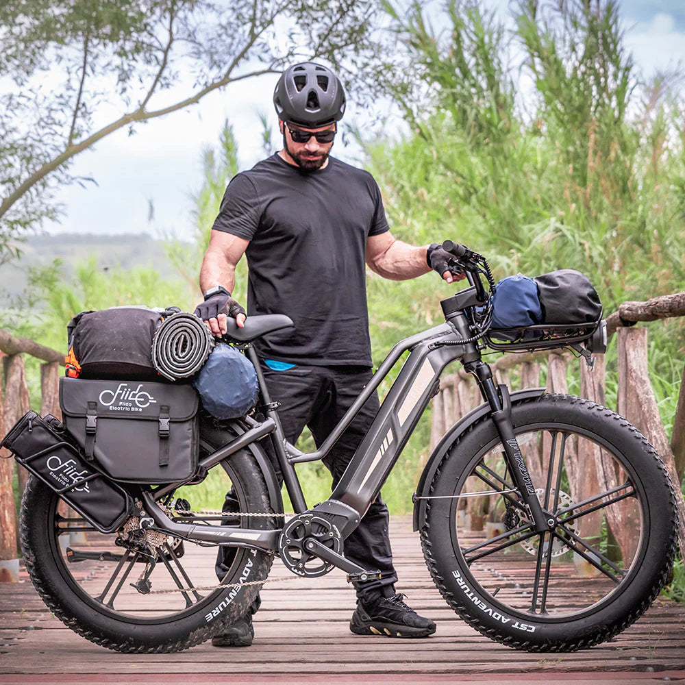 Fiido Titan Robust Cargo eBike