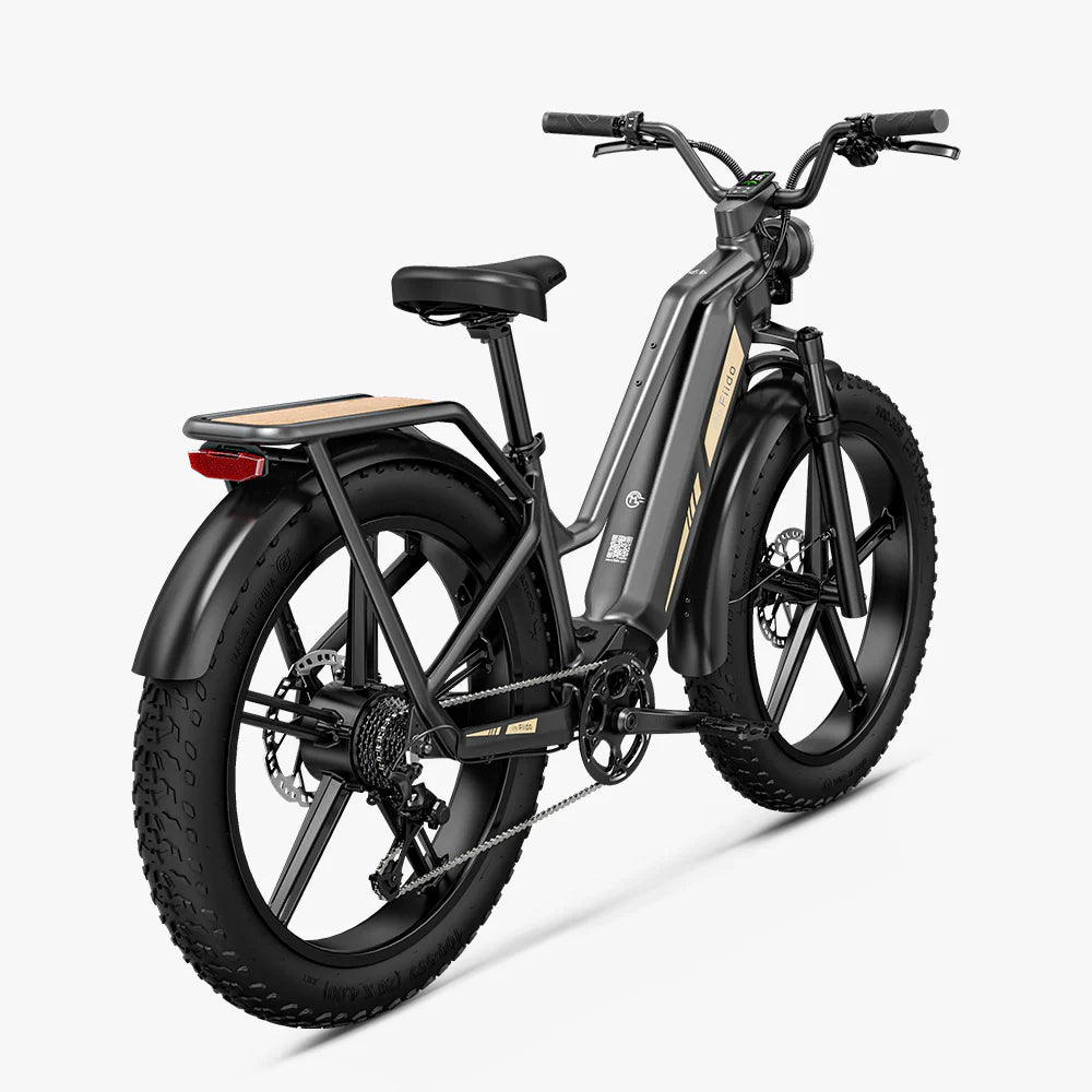 Fiido Titan Robust Cargo eBike